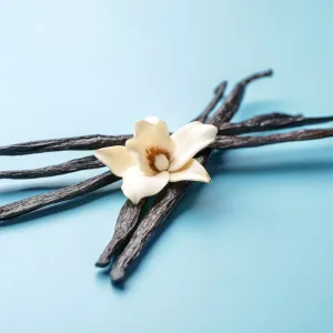 Type Pure Vanilla
