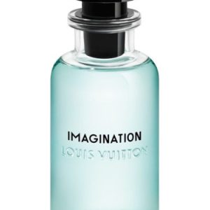 Type Imagination
